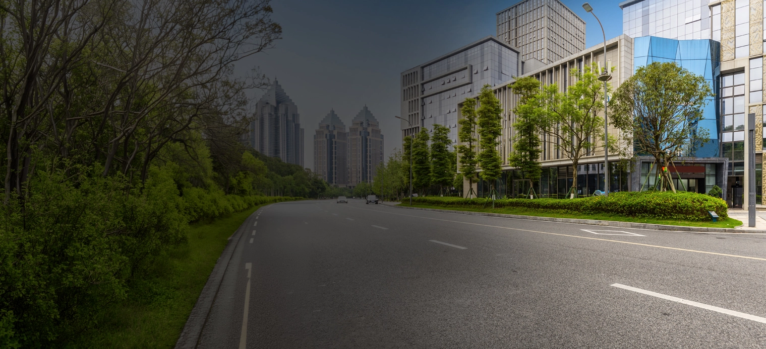 Bangalore ORR Connectivity